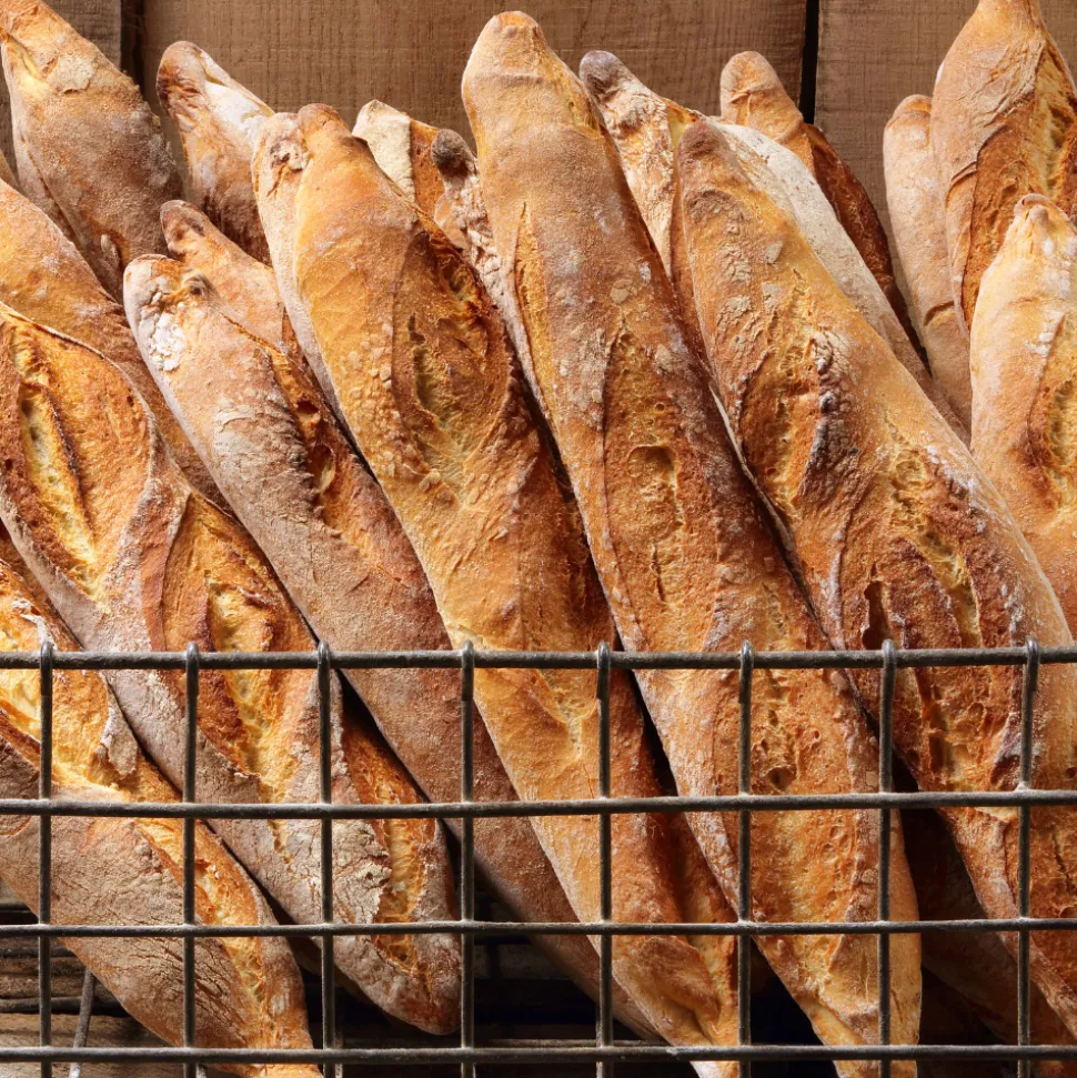 Bread Making set: T55 Flour & Fresh Yeast 42g x 12