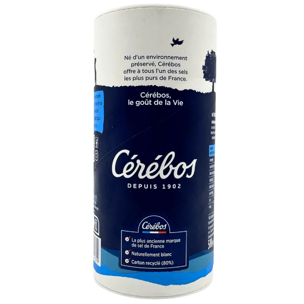 Cerebos Iodised Fine Salt 500g