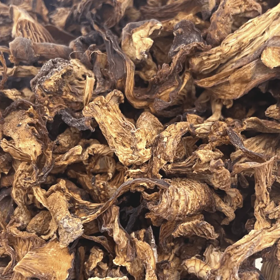 Dried Girolle Mushroom 100g