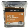 Dried Mixed Mushrooms 500g