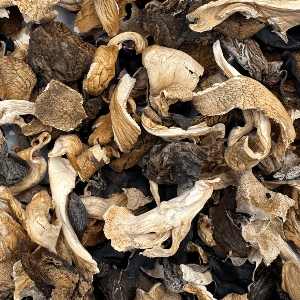 Dried Morel Mushroom 25g