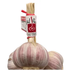 Pink Lautrec Garlic String 500g COMING SUMMER 2025