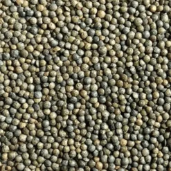 Sabarot Green Puy Lentils AOP 500g