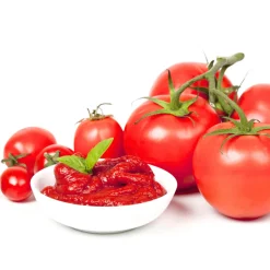 Tomato Puree Double Concentrate 880g