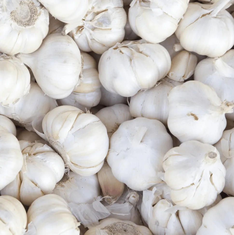 White Garlic Braid 1kg COMING SUMMER 2025